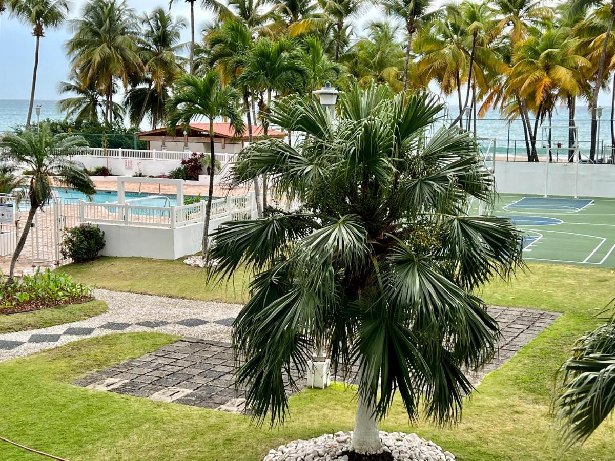 Beachfront Tropical Tantra Apartment San Juan Extérieur photo
